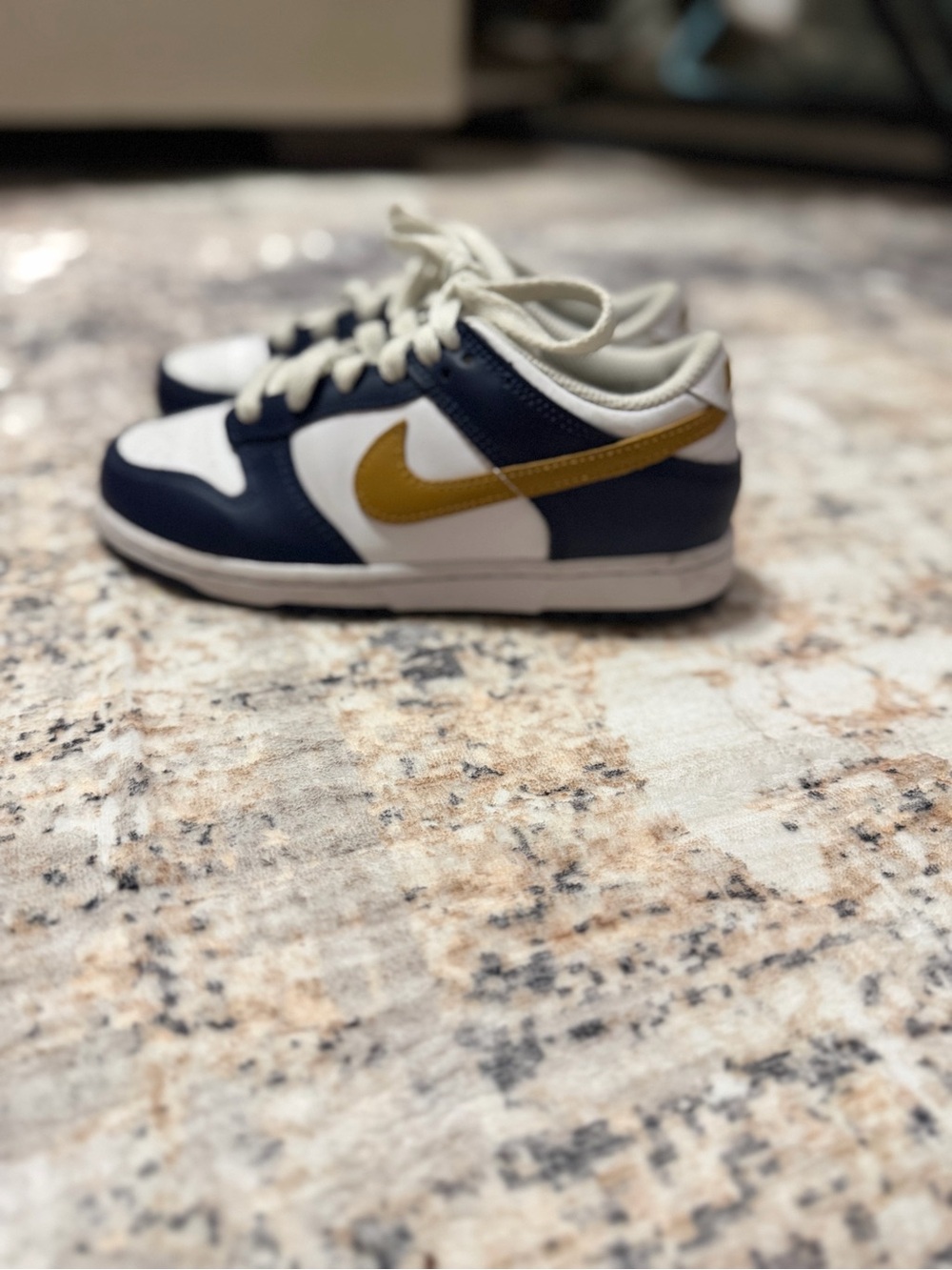 Boys Nike Dunk Low